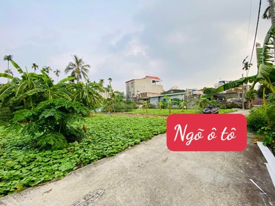 Bán lô đất hiếm tại Lâm Động   Thủy Nguyên 1