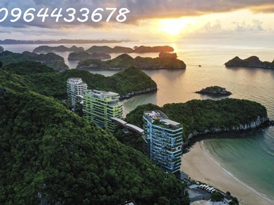 Flamingo cát bà   resort không gian xanh ở 2 bãi tắm cát cò 1   2, giá chỉ từ khoảng 1,x tỷ 3
