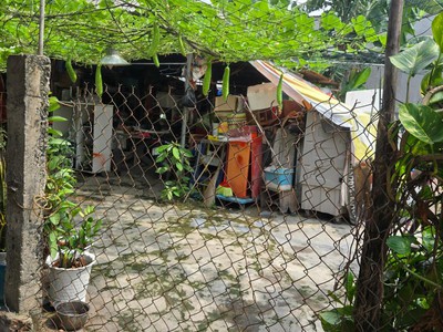 Đất ngang 11.8m hiếm   linh xuân thủ đức   shr , full thổ cư, chỉ 4 tỷ 500 tl 1