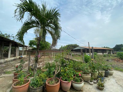 Bán lô đất tại đức hòa, long an 53   95m 35 tỷ 4