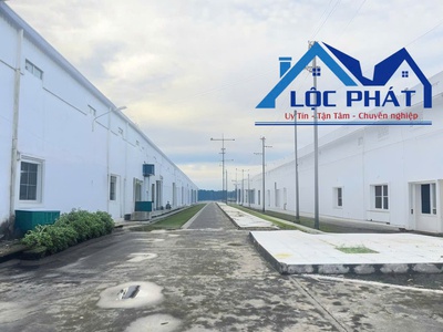 Cho thuê nhà xưởng 1000m2  giá chỉ 99 triệu/tháng- kcn biên hòa  đồng nai 2