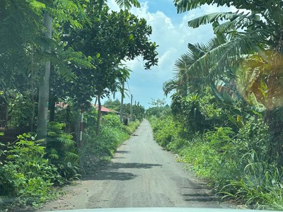 Bán 12.000m2 đất, xã suối rao, bà rịa vũng tàu, tặng nhà vườn, giá chỉ 14,9 tỷ 1