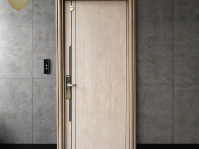 Cửa Thép Căn Hộ ANG 07 0