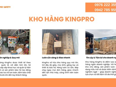 Kho hàng Kingpro- Giải pháp tối ưu cho Doanh nghiệp 0