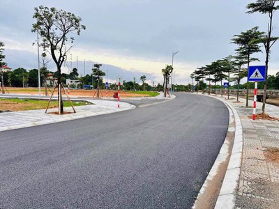  Bán Dự Án Đất Tại Hoàng Liệt   Hoàng Mai  2