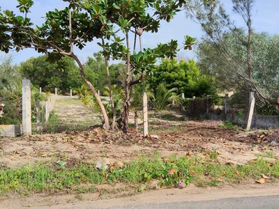 Bán đất mặt tiền đường lớn giáp biển mũi né vị trí vàng cho đầu tư 1