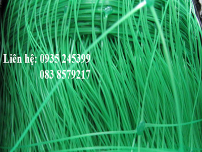 Lưới trồng cây dây leo nguyễn út 1