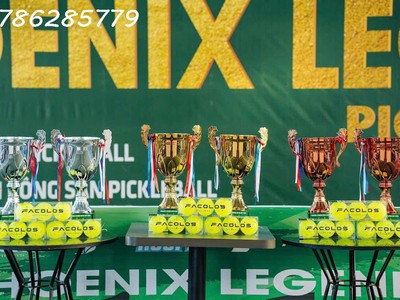 Cần sang nhượng sân phoenix legend pickleball tại khách sạn công đoàn số 138 đường hà long, phường 1