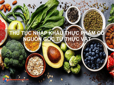 Thủ tục nhập khẩu thực phẩm có nguồn gốc từ thực vật 0