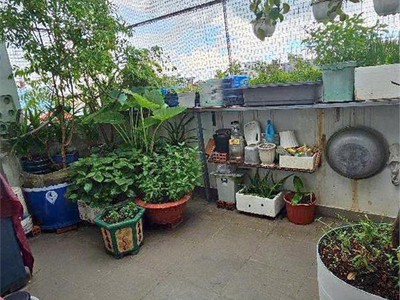 3.2 tỷ- xe hơi tới nhà - 4 tầng- 4 phòng ngủ  - đường huỳnh tấn phát 4