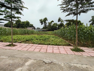 Chính chủ gửi bán 144 m 50 thổ cư  chỉ 1, x tỷ  nhuận trạch lương sơn -hb  phú thọ mới 3