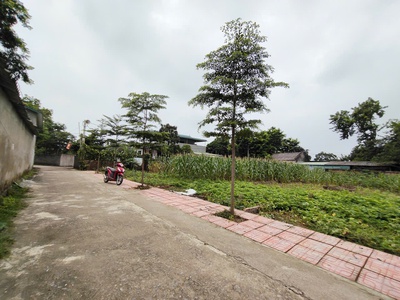 Chính chủ gửi bán 144 m 50 thổ cư  chỉ 1, x tỷ  nhuận trạch lương sơn -hb  phú thọ mới 2