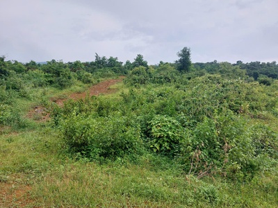 Chính chủ cần bán  2,5 ha đất bám suối view siêu đep tại lương sơn   phú thọ 2