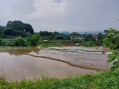 Chính chủ cần bán  2,5 ha đất bám suối view siêu đep tại lương sơn   phú thọ 3
