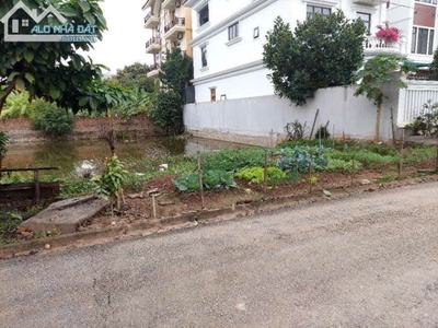 Chính chủ bán đất nhà vườn quảng trường 2   tp ninh bình - vị trí đẹp - giá tốt đầu tư 0