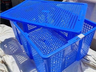 Rổ nhựa đựng trái cây có nắp - Hàng Việt Nam chất lượng cao 7