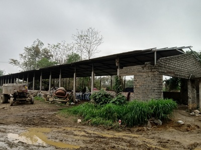 Cho thuê hơn 2ha đất trang trại, kho xưởng, du lịch gần hồ Kỳ Viên xã Trần Phú, Chương Mỹ, Hà Nội. 3