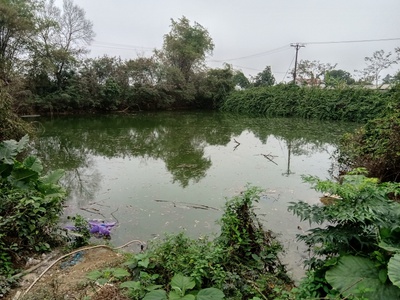 Cho thuê hơn 2ha đất trang trại, kho xưởng, du lịch gần hồ Kỳ Viên xã Trần Phú, Chương Mỹ, Hà Nội. 4
