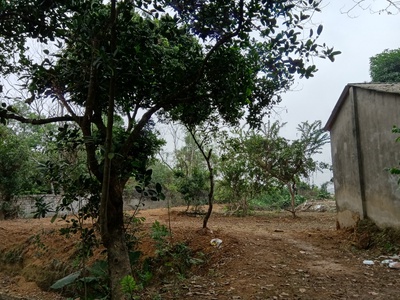 Cho thuê hơn 2ha đất trang trại, kho xưởng, du lịch gần hồ Kỳ Viên xã Trần Phú, Chương Mỹ, Hà Nội. 9