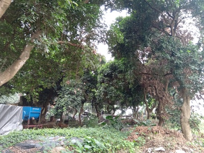 Cho thuê hơn 2ha đất trang trại, kho xưởng, du lịch gần hồ Kỳ Viên xã Trần Phú, Chương Mỹ, Hà Nội. 12