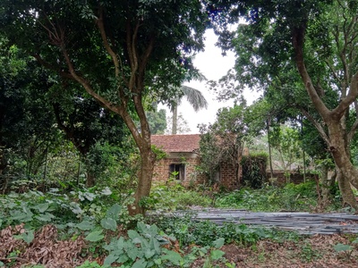 Cho thuê hơn 2ha đất trang trại, kho xưởng, du lịch gần hồ Kỳ Viên xã Trần Phú, Chương Mỹ, Hà Nội. 13