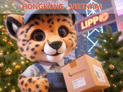 Giá Cước Vận Tải Biển Từ Hongkong Về Việt Nam 0