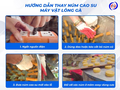 Núm cao su vặt lông gà vịt ngan ngỗng... 0