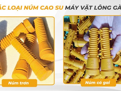 Núm cao su vặt lông gà vịt ngan ngỗng... 3