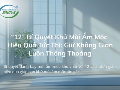 Mùi Ẩm Mốc Trong Phòng   Làm Sao Để Xử Lý Tận Gốc 0