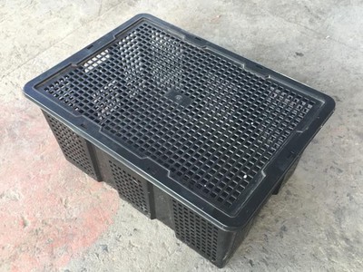 Sọt nhựa đựng trái cây có nắp hàng Việt Nam mới 100, giá ưu đãi 2