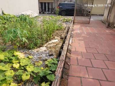 Đất quang minh, lô góc 69m2, mt4.1m, 5 tỷ, mê linh, ô tô tránh. 1