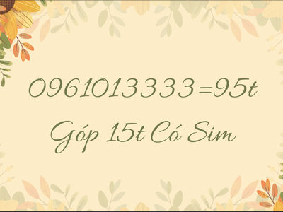 0961013333 95tr 0