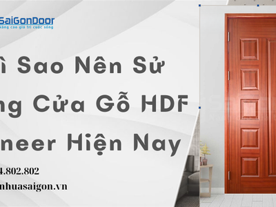 Vì Sao Nên Sử Dụng Cửa Gỗ HDF Veneer Hiện Nay 1