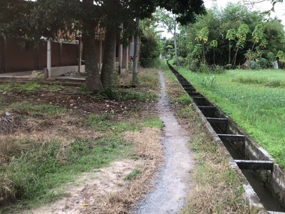 Bán đất nhà vườn nghĩ dưỡng, nhà cấp 4, vườn dừa, áo cá 3