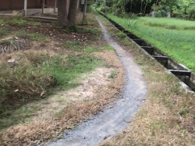 Bán đất nhà vườn nghĩ dưỡng, nhà cấp 4, vườn dừa, áo cá 1