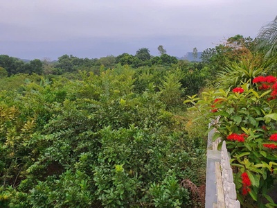 Siêu phẩm 5105m tại thành lập-lương sơn-hòa bình 3