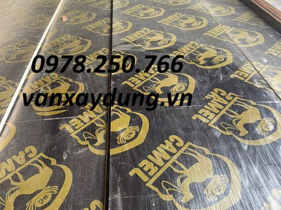 Ván ép 4m phủ phim Camel  Lạc Đà  tại Biên Hòa, Đồng Nai 0