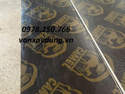 Ván ép 4m phủ phim Camel  Lạc Đà  tại Biên Hòa, Đồng Nai 1