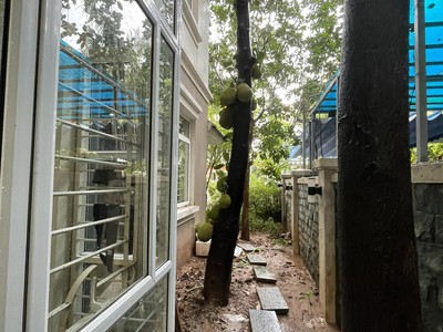 Căn biệt thự đơn lập Làng Việt Kiều Châu Âu 253m2 Hà Đông 0