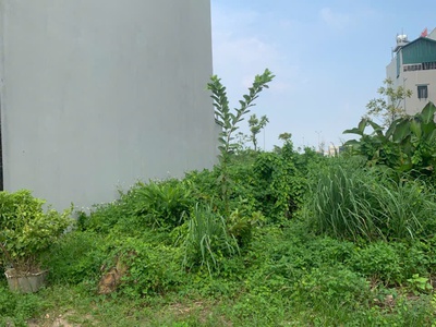 Cần tiền gấp muốn bán mảnh đất khu trường đại học thuộc dự án phía nam Hải Dương 2
