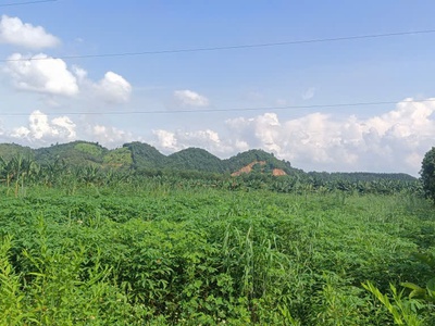 Hot     sở hữu ngay lô đất đẹp - giá tốt - vị trí đắc địa tại cát tiên, đa huoai, lâm đồng 0
