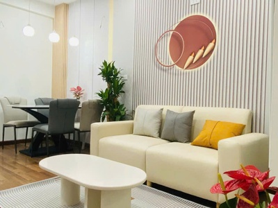 Căn hộ 65m2 2pn nt đẹp giá rẻ nhất kđt mỹ đình 1 0