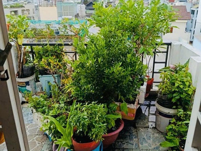 Q10   vĩnh viễn   nhà đẹp 5 tầng   4pn   hxh thẳng   chỉ 7 tỷ . 4