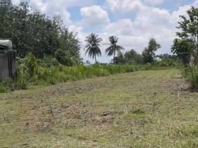 Chính chủ bán 1575,7m2 đất vườn tại phường trảng bàng, thị xã trảng bàng, tây ninh. 0