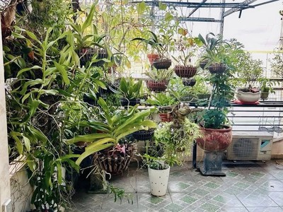 Bán nhà 2 mặt hẻm xe hơi vườn lài, tân phú   77m , 4 tầng, 5pn, giá chỉ 11 tỷ 4