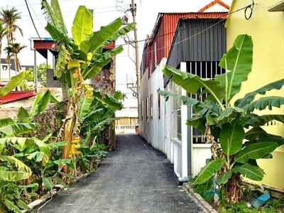 6xx tr 61.5m2 trung nghĩa đồ sơn zalo 0567222555 4