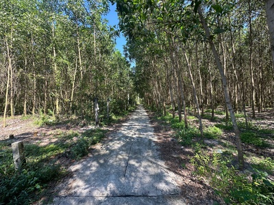 Bán 5m x 27m hẻm lý nam đế - phước hội - lagi giá ngộp 650 triệu 4