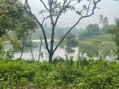 Siêu phẩm nghỉ dưỡng ven hồ đồng sương lương sơn ,hòa bình   giá cực tốt cho nhà đầu tư 1