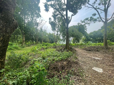 Siêu phẩm nghỉ dưỡng ven hồ đồng sương lương sơn ,hòa bình   giá cực tốt cho nhà đầu tư 2