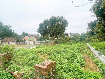 Bán nhanh lô đất trong khu nghỉ dưỡng đồi hàu   cư yên, lương sơn - hòa binh 3
